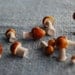 Fungus Set No.20