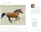 Horse - arabian horse featured on GiftsofSerendipity.com