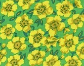Kaffe Fassett, Anemone in Green