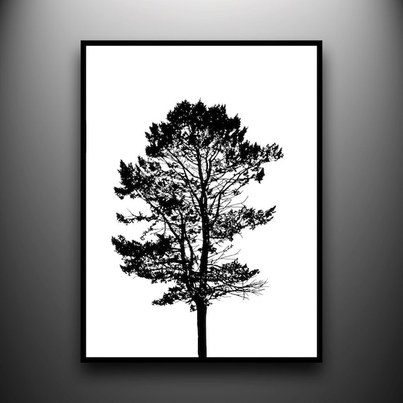 Pine Tree Portrait 18x24 original papercut