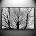 Branches Papercut, original hand-cut 30x20 paper art