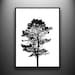Pine Tree Portrait 18x24 original papercut