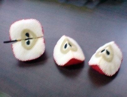 Felt Fruit Slices (Patterns and Instructions via Email)