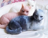 Hazelnut Cappuccino Cat Soap