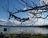 CUSTOM star wedding decoration suite