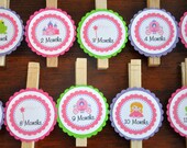 Princess Photo Clips. Photo Banner. Picture Banner. Happy Birthday.First Birthday. Princess. Castle. Set of 13. Choose your princess