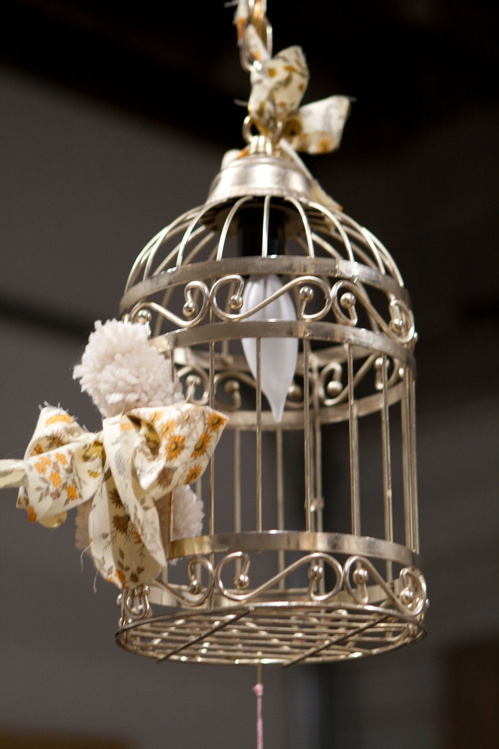 Upcycled Hanging Light Birdcage