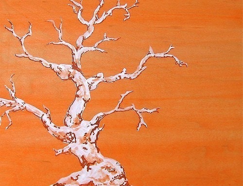 Orange Coral--8x10