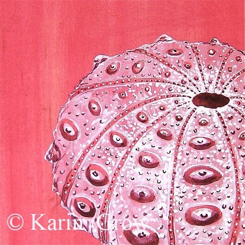 Watermelon Urchin---8x8