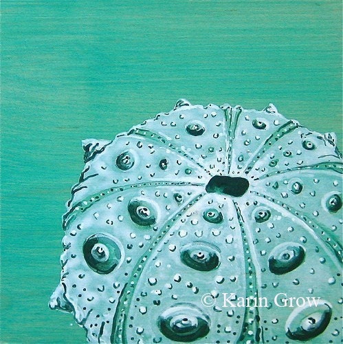 Dark Turquoise Sea Urchin--8x8