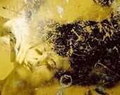 SP 08N- Photography Print