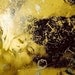 SP 08N- Photography Print