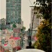 Fair Champagne - San Francisco Landscape Photography Print