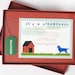 Luxury, Boxed Birthday Invitation - BARKING UP A TREE
