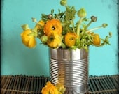 Cheerful Kids Nursery Art - Still Life Nature Photograph - Ranunculus - 8"x8"