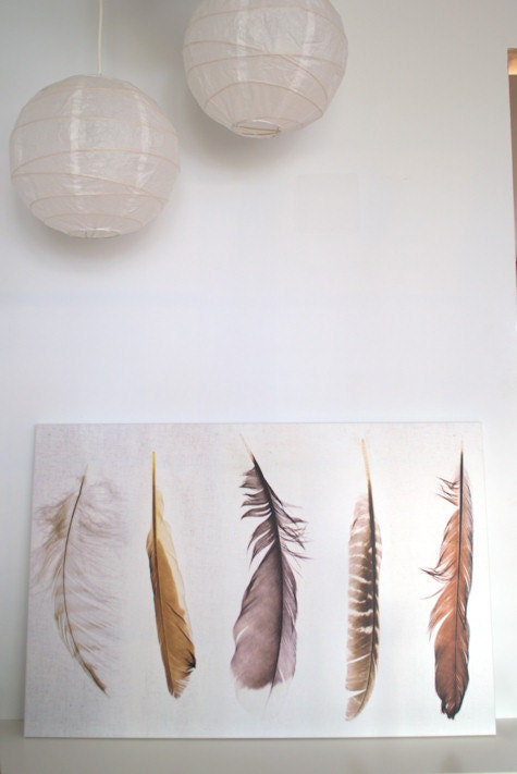 Large Loose Canvas Photo of Nature Inspired Feather Collection - Limited Edition of 100 - Five Feathers - 24x36