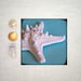 Starfish Ocean Photograph Print - Sea Star - 8x8
