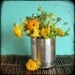 Cheerful Kids Nursery Art - Still Life Nature Photograph - Ranunculus - 8"x8"