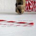 CHUNKY bakers twine - red and white