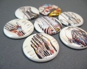 Fridge Magnets - Anatomy 104 -  7 one inch button magnets 1143