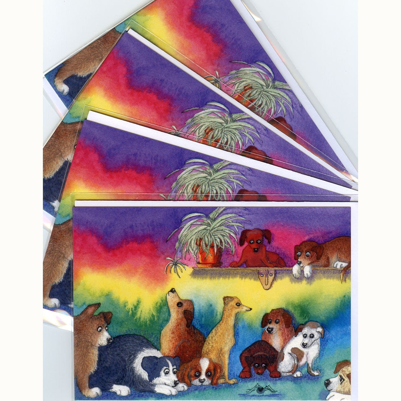4 x puppy spider greeting cards