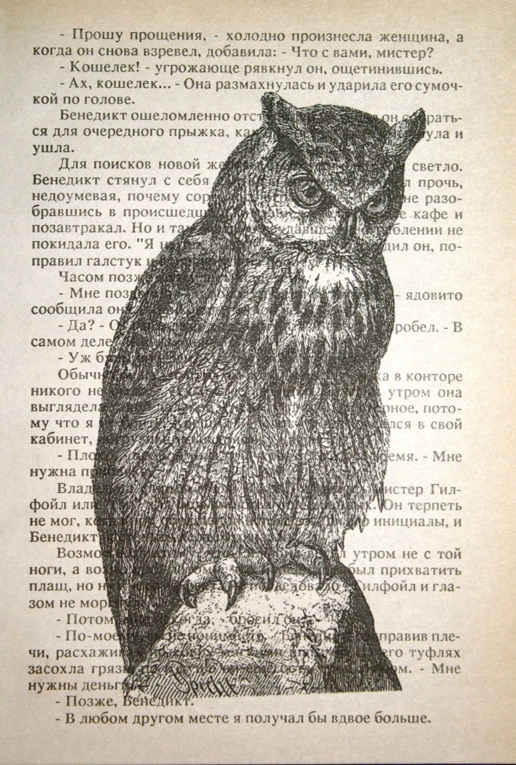 Owl Print - Vintage Russian Book Page Print - 5 x 7  Owl Art Nature Art Bird Print