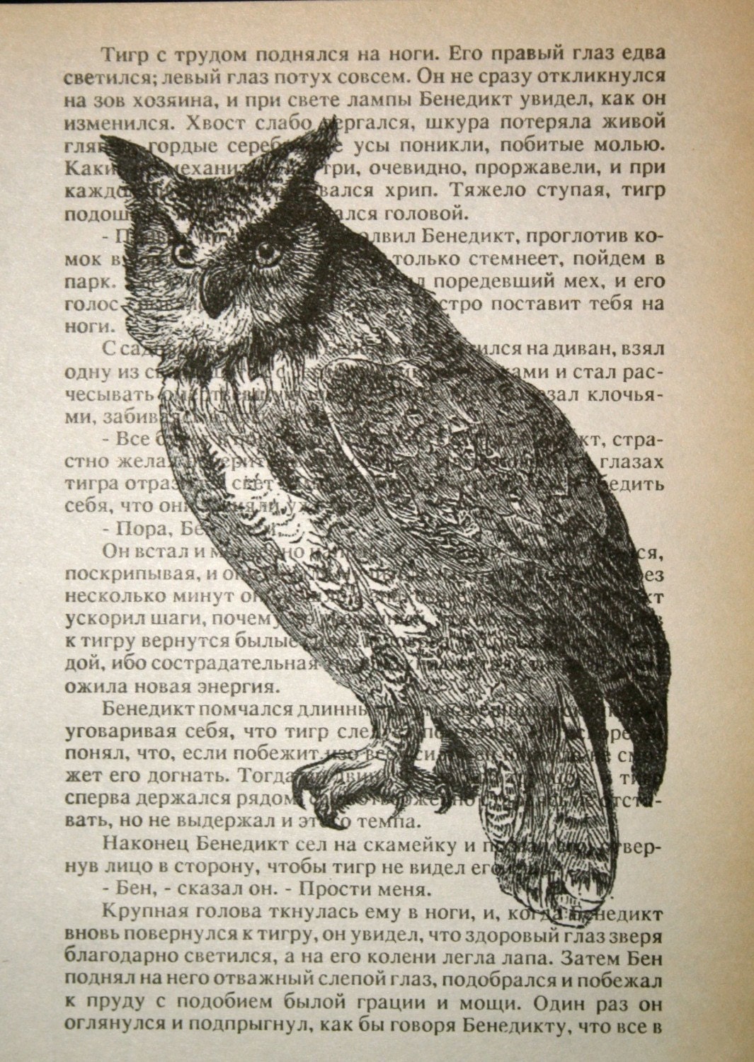 Owl Print on Vintage Russian Book Page - 5 x 7  Russian Owl Book Page Print