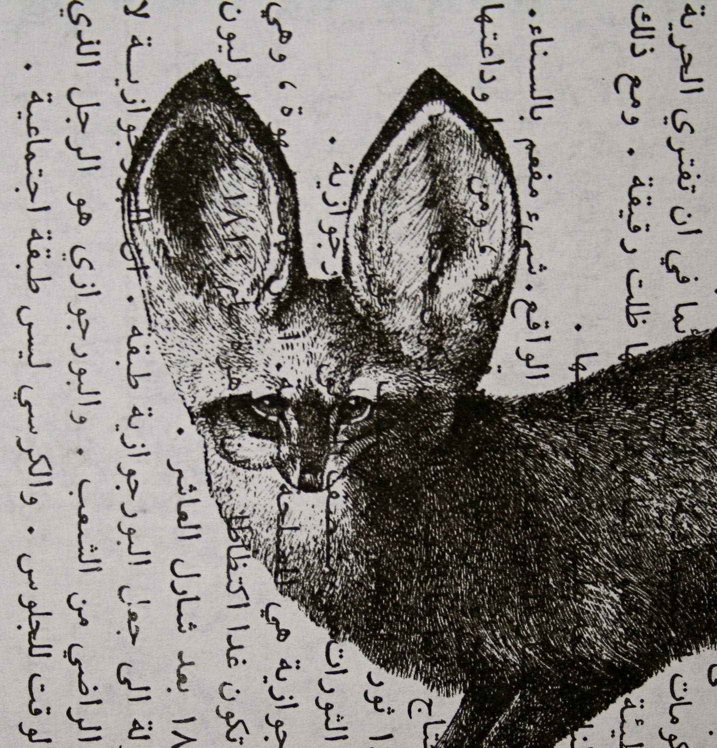 Desert Fox Fennec Print on Vintage Arabic Text - 5 x 7