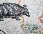 Armadillo Print on Vintage Map Mexico with Vintage Postage Stamp - 5 x 7 Armadillo Map Print