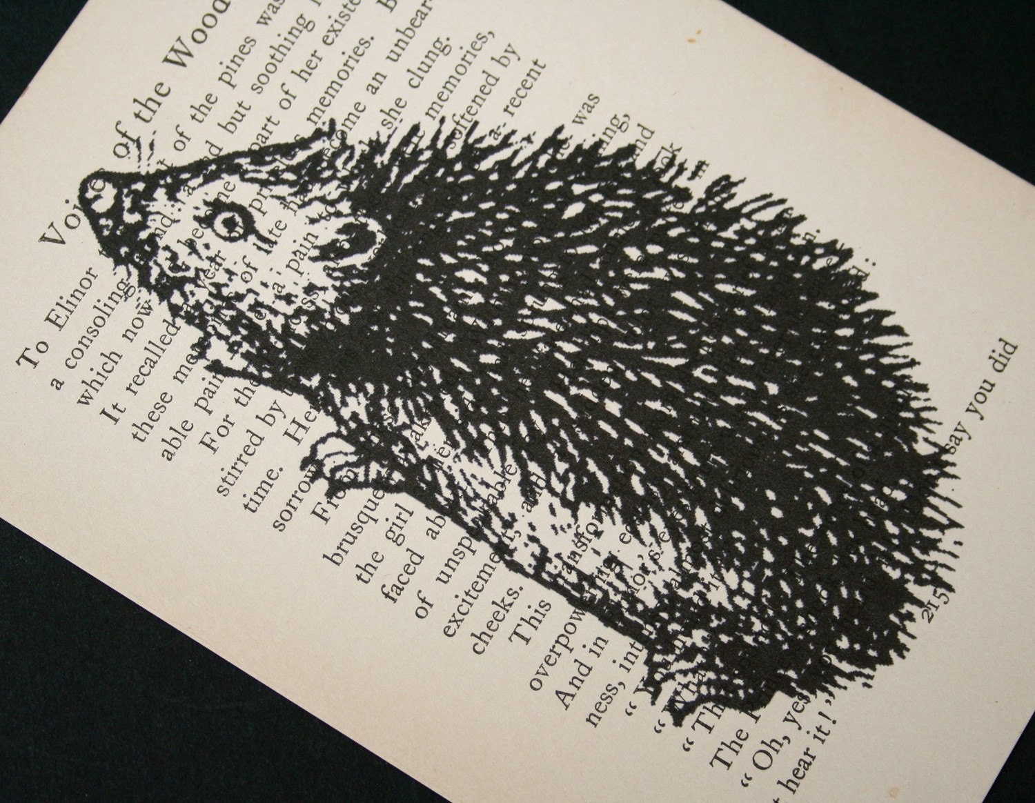 Hedgehog Print on Vintage Book Page - 5 x 7