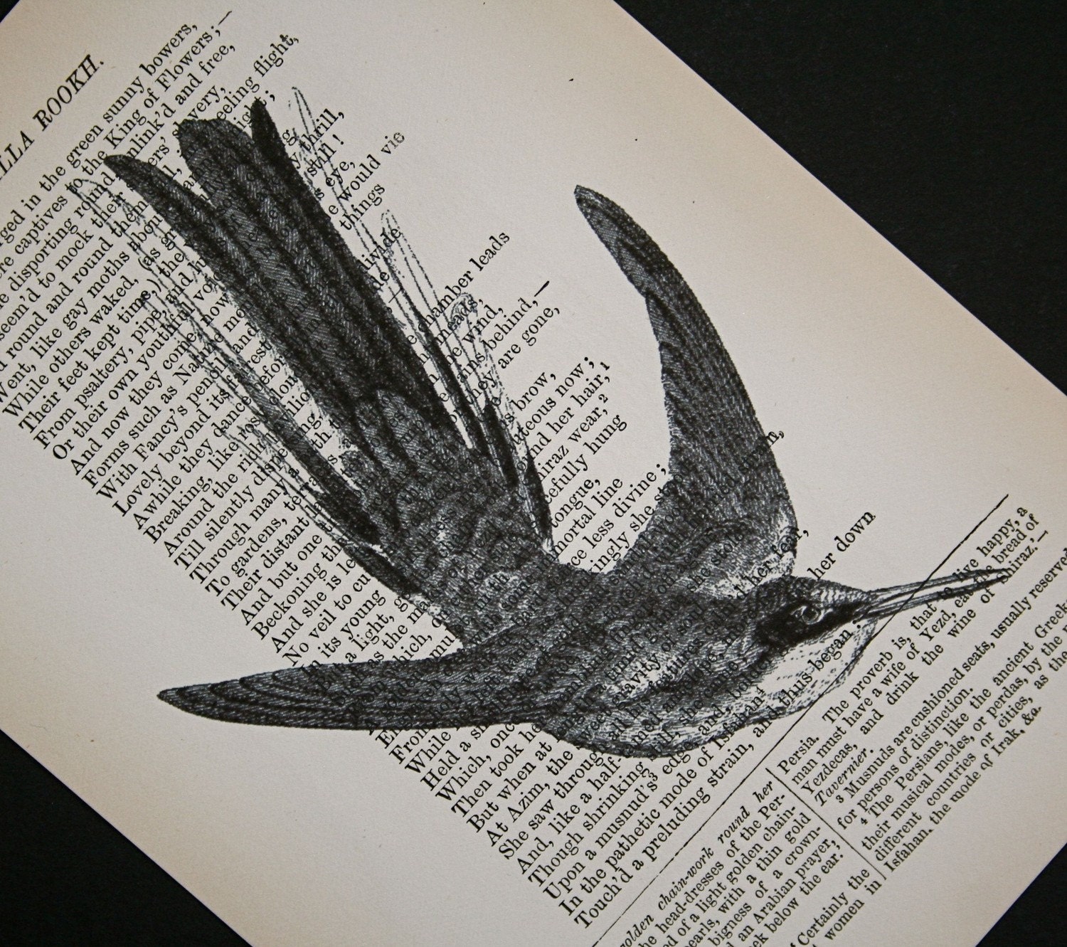 Hummingbird Print on Vintage Book Page - 5 x 7 Hummingbird 2