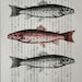 Fish Print on Vintage Japanese Book Page - 5 x 7