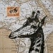 Giraffe Print on Map of Africa with Vintage Postage Stamp - 5 x 7 Giraffe Map Print Collage