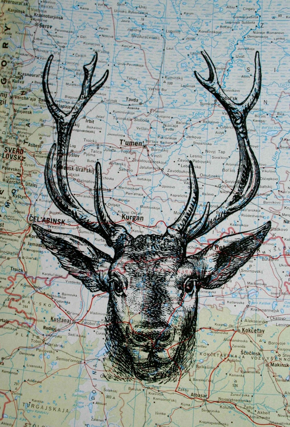 Deer Head Print