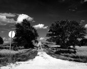 Old Homestead