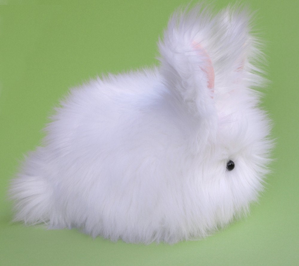 White Bunny Faux Fur Stuffed Plush Toy named Cottonball - Medium Size