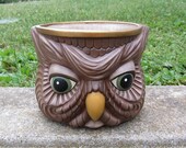 Old Wise One-Owl Planter-Vintage Mold
