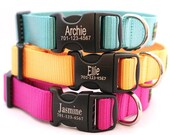 Laser Etched Personalized Webbing Dog Collar - 18 colors