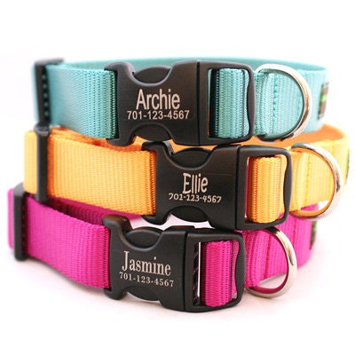 Laser Etched Personalized Webbing Dog Collar - 18 colors