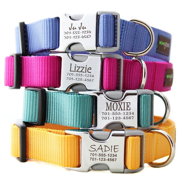 Metal Engraved Buckle Dog Collar - Personalized with 18 Webbing Colors to Choose From