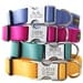 Metal Engraved Buckle Dog Collar - Personalized with 18 Webbing Colors to Choose From