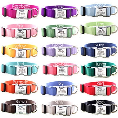 Metal Engraved Buckle Dog Collar - Personalized with 18 Webbing Colors to Choose From