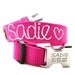 Engraved Personalized Metal Buckle Webbing Dog Collar with Hand Embroidery - 18 colors