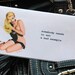Funny Checkbook Cover with photo/card inserts. Pin up Girl- someone needs to set a bad example