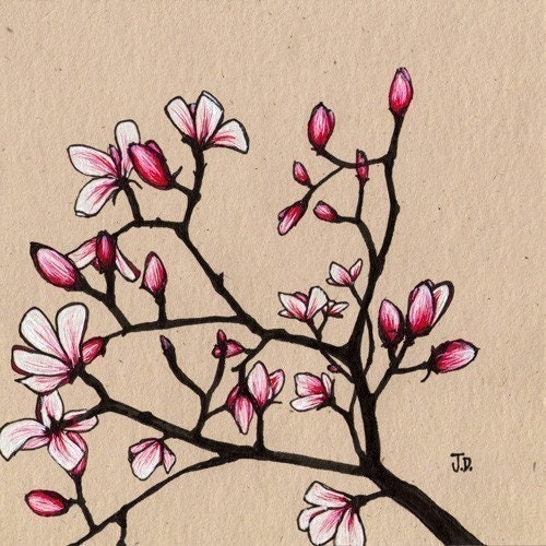 Spring Magnolia's (8x8 Signed Fine Art Giclee Print)