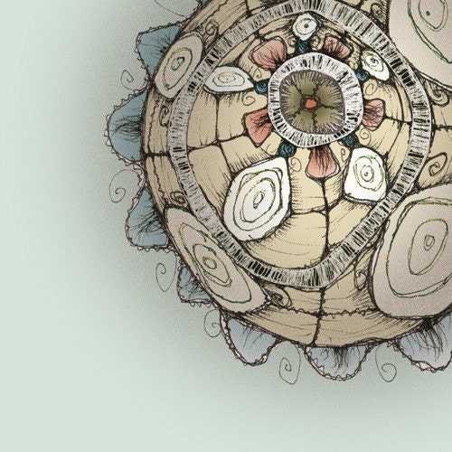 The Wise Barnacle - 8x8 fine art print