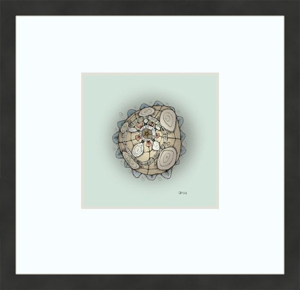 The Wise Barnacle - 8x8 fine art print