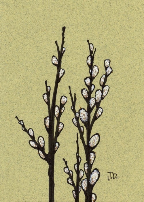 Pussy Willows no.4 - 5x7 Fine Art Print