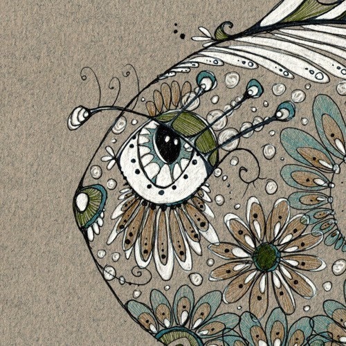 George - yes he's a pretty fish - 8.5 by 11 inch Print