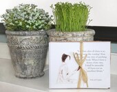 Jane Austen Notecards . Card Set of 5  .  featuring prints of my original drawings